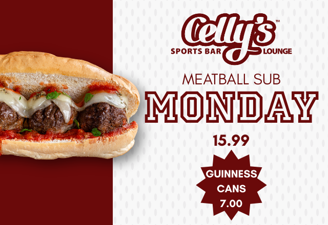 $15.99 Meatball Sub