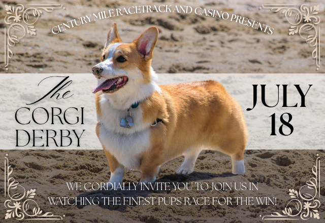 The Corgi Derby