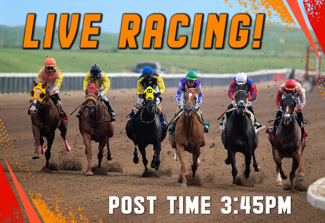 Live Horse Racing - 3:45pm