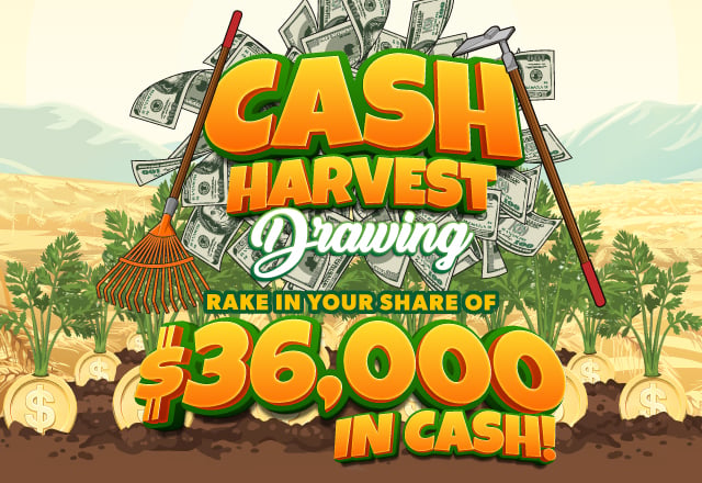 Cash Harvest Drawing