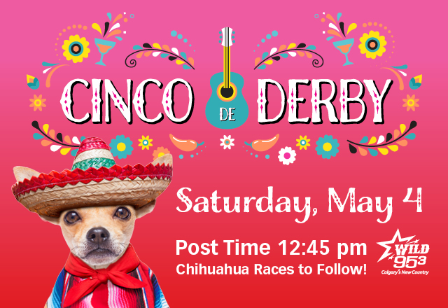 Cinco De Derby Chihuahua Races